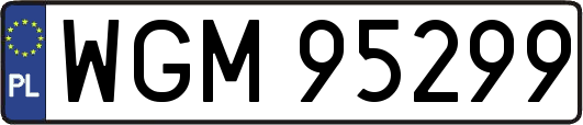 WGM95299