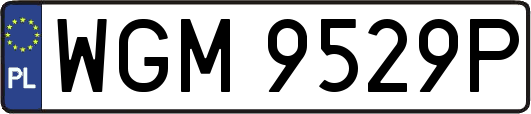 WGM9529P