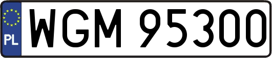 WGM95300