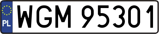 WGM95301