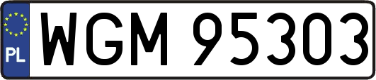 WGM95303