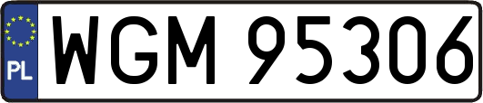 WGM95306