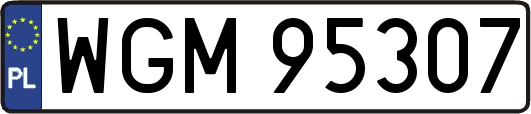 WGM95307