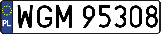WGM95308