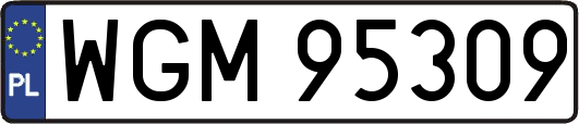WGM95309