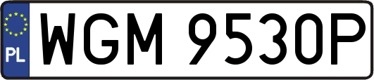 WGM9530P