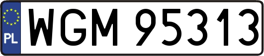 WGM95313