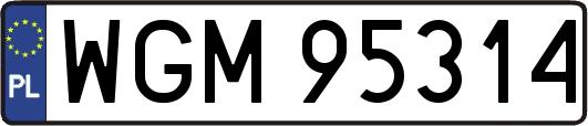 WGM95314