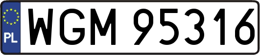 WGM95316