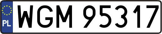 WGM95317