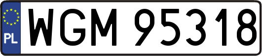 WGM95318