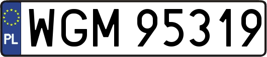 WGM95319