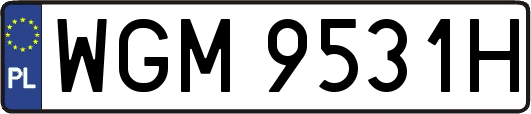 WGM9531H