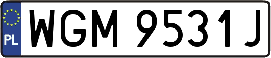WGM9531J