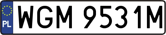 WGM9531M