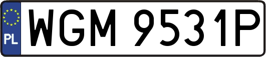 WGM9531P