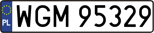 WGM95329