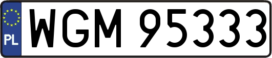WGM95333