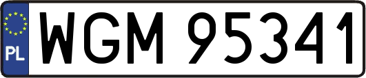 WGM95341