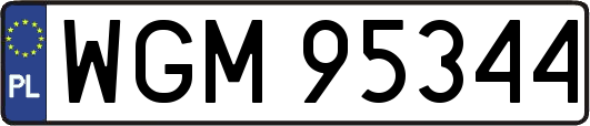 WGM95344