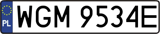 WGM9534E
