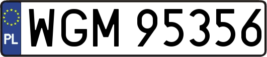WGM95356