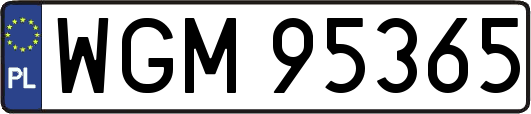WGM95365