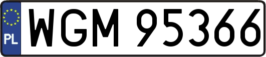 WGM95366