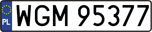 WGM95377