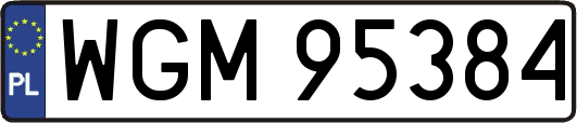 WGM95384