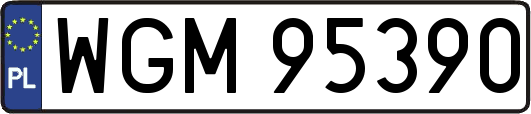 WGM95390