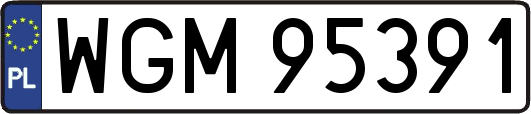 WGM95391