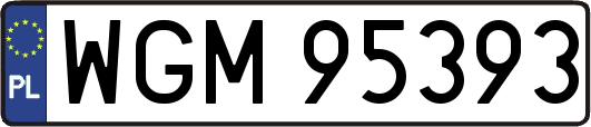 WGM95393