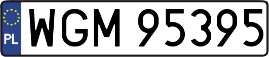 WGM95395