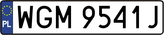 WGM9541J