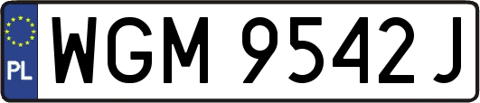 WGM9542J