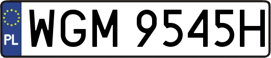 WGM9545H