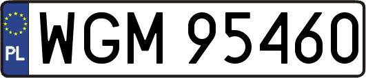 WGM95460