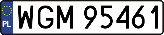 WGM95461
