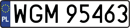 WGM95463