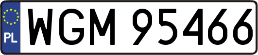 WGM95466