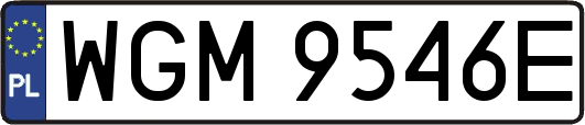 WGM9546E
