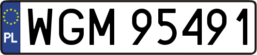 WGM95491