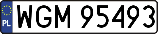 WGM95493