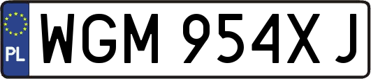 WGM954XJ