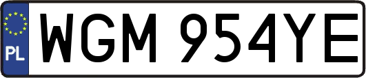 WGM954YE