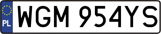 WGM954YS