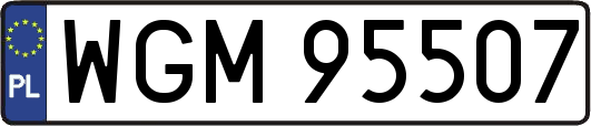 WGM95507