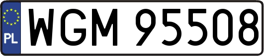 WGM95508