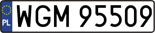 WGM95509